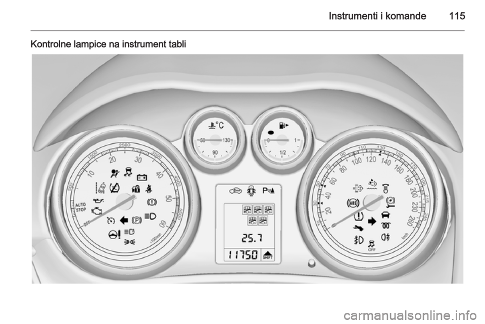 OPEL ZAFIRA C 2015.5  Uputstvo za upotrebu (in Serbian) Instrumenti i komande115
Kontrolne lampice na instrument tabli 