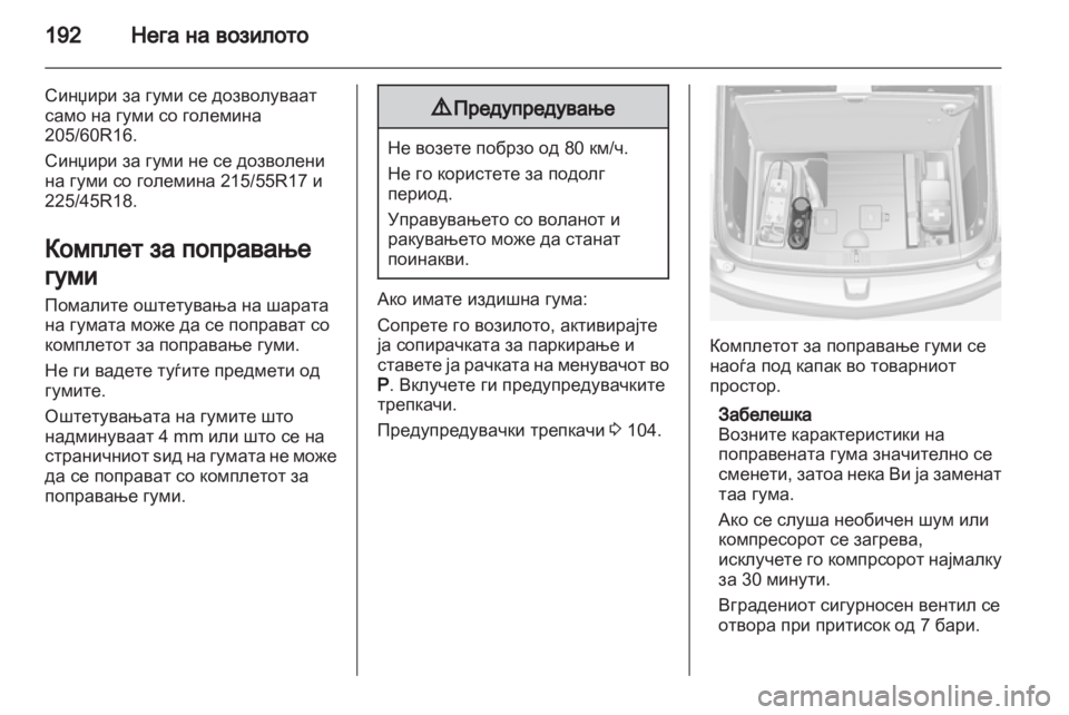 OPEL AMPERA 2013  Сопственички прирачник 