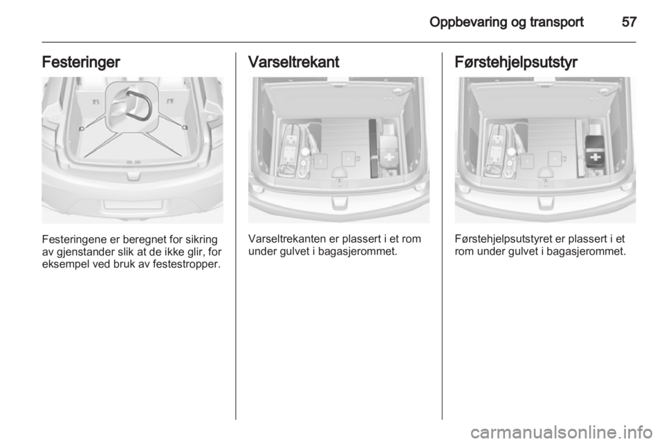 OPEL AMPERA 2013  Instruksjonsbok 