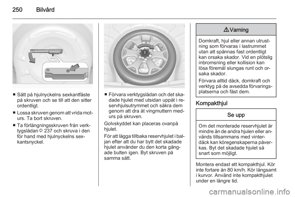 OPEL INSIGNIA 2014.5  Instruktionsbok 250Bilvård
■ Sätt på hjulnyckelns sexkantfästepå skruven och se till att den sitter
ordentligt.
■ Lossa skruven genom att vrida mot‐
urs. Ta bort skruven.
■ Ta förlängningsskruven från
