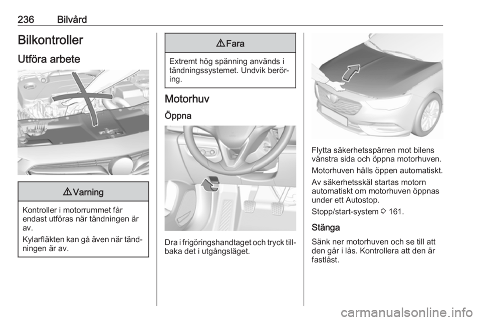 OPEL INSIGNIA BREAK 2017.75  Instruktionsbok 236BilvårdBilkontroller
Utföra arbete9 Varning
Kontroller i motorrummet får
endast utföras när tändningen är
av.
Kylarfläkten kan gå även när tänd‐ ningen är av.
9 Fara
Extremt hög sp