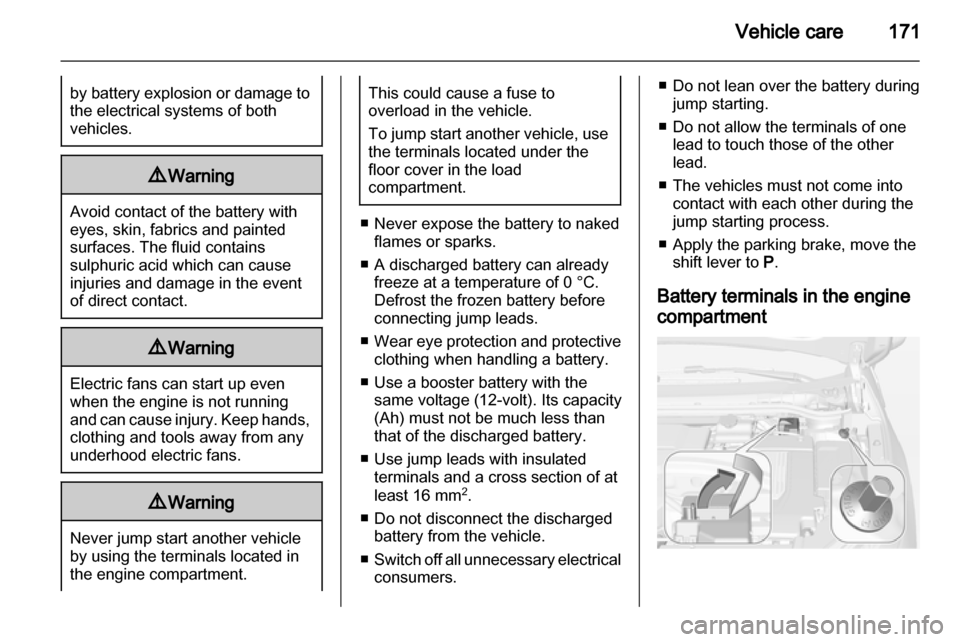 VAUXHALL AMPERA 2013  Owners Manual 