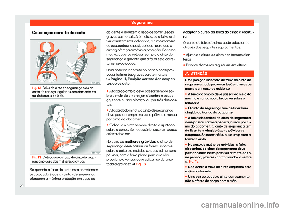 Seat Alhambra 2019  Manual do proprietário (in Portuguese)  Seguran