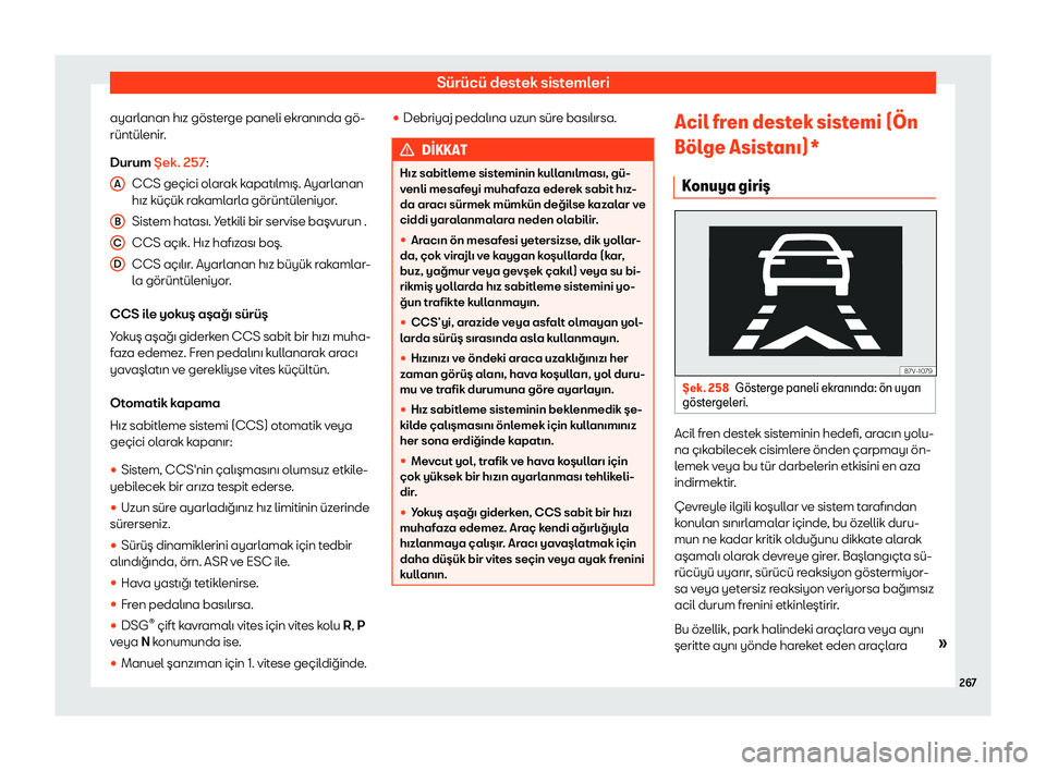Seat Alhambra 2019  Kullanım Kılavuzu (in Turkish) S