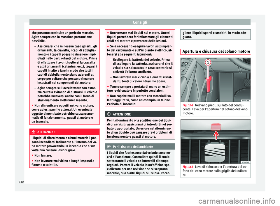 Seat Alhambra 2015  Manuale del proprietario (in Italian) Consigli
che possono costituire un pericolo mortale.
Agire sempre con la massima precauzione
possibile.
–Assicurarsi che in nessun caso gli arti, gli
ornamenti, la cravatta, i capi di abbiglia-
ment