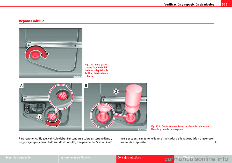 Seat Alhambra 2010  Manual del propietario (in Spanish) Verificación y reposición de niveles315
Seguridad ante todoInstrucciones de ManejoConsejos prácticosDatos Técnicos
Reponer AdBlue
Para reponer AdBlue, el vehículo deberá encontrarse sobre un ter