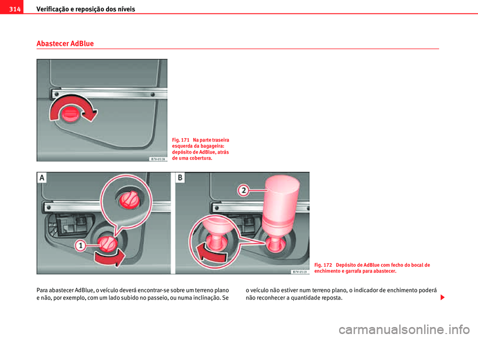 Seat Alhambra 2010  Manual do proprietário (in Portuguese)  Verificação e reposição dos níveis 314
Abastecer AdBlue
Para abastecer AdBlue, o veículo deverá encontrar-se sobre um terreno plano 
e não, por exemplo, com um lado subido no passeio, ou numa 