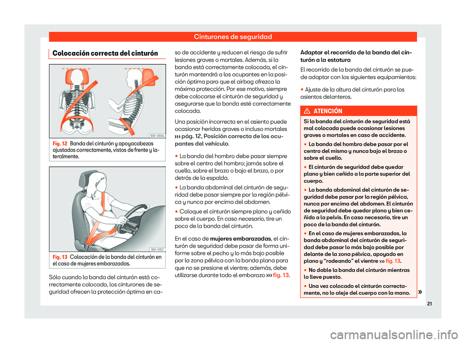 Seat Arona 2020  Manual del propietario (in Spanish) Cinturones de seguridad
Colocaci