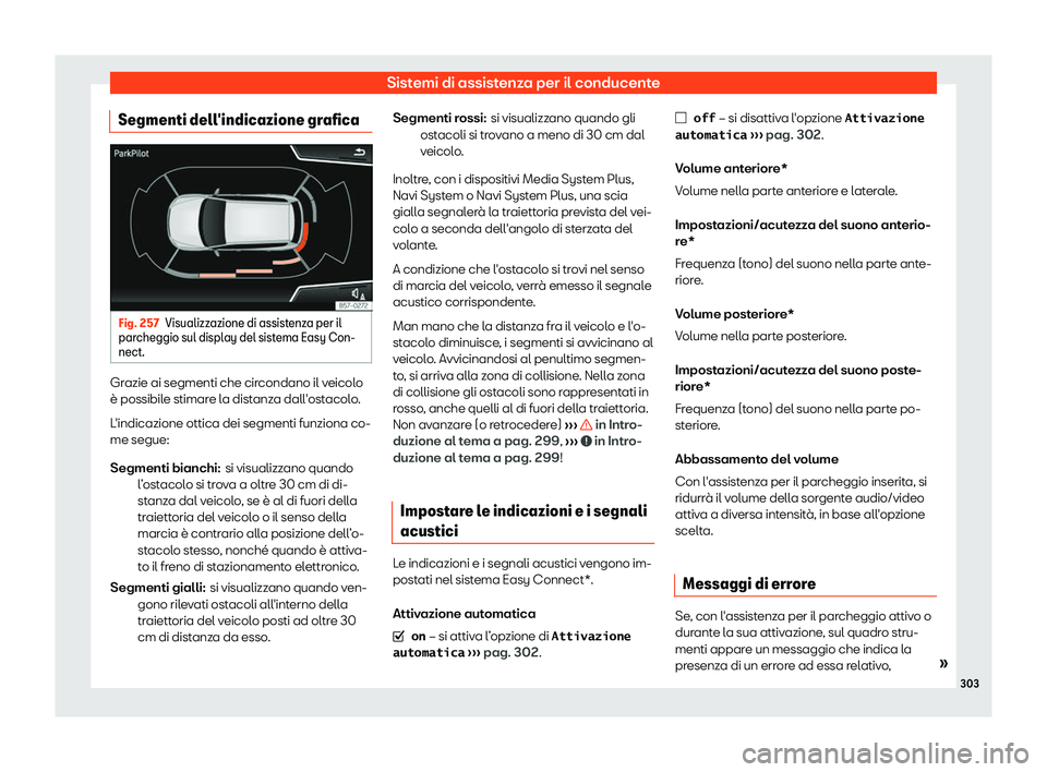 Seat Arona 2019  Manuale del proprietario (in Italian) Sistemi di assistenza per il conducente
Segmenti dell
