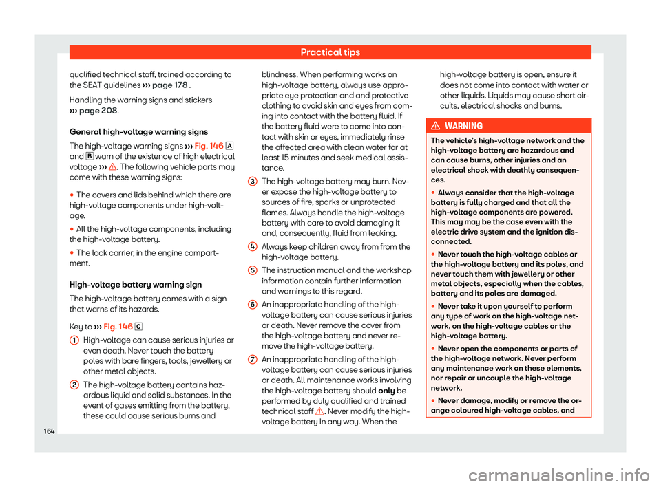 Seat Mii electric 2019  Owners Manual Practical tips
qualified technical staff, trained according to
the SEAT guidelines  ››
› page 178 .
Handling the warning signs and stickers
›››  page 208.
General high-voltage warning sign