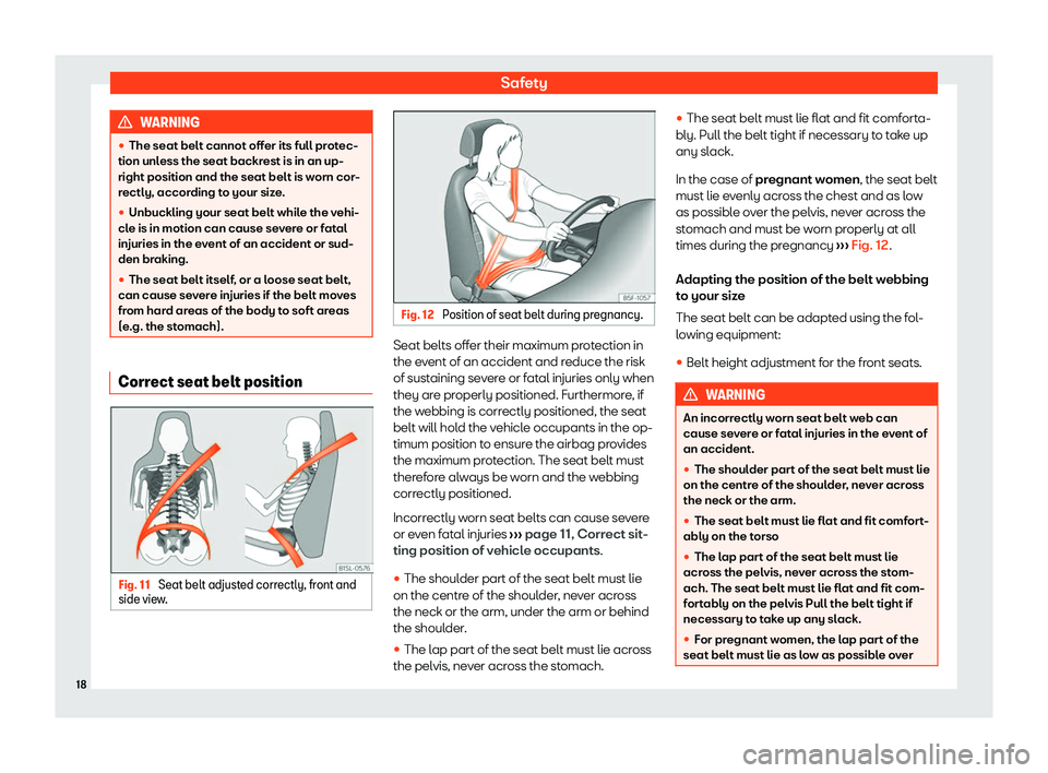 Seat Mii electric 2020  Owners manual Safety
WARNING
