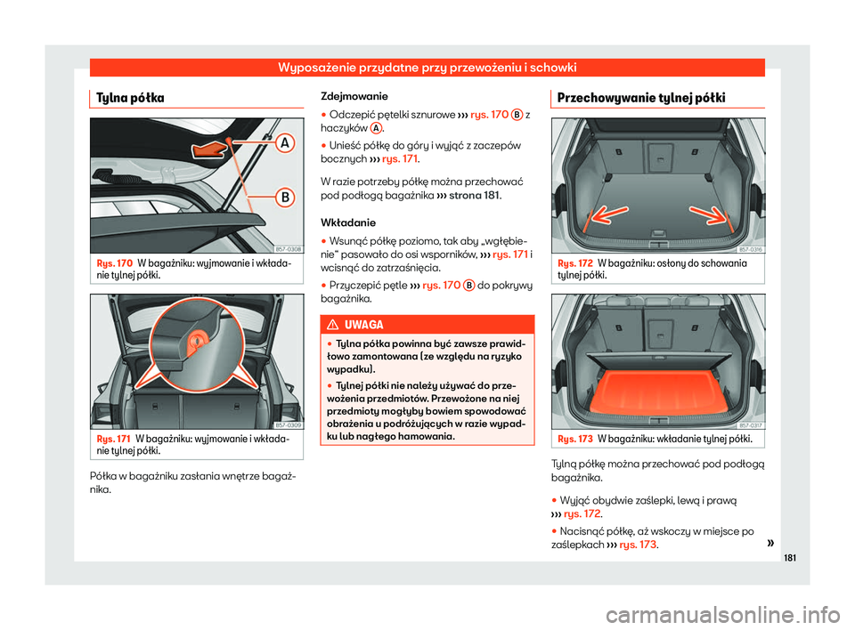 Seat Ateca 2019  Instrukcja Obsługi (in Polish) Wyposa