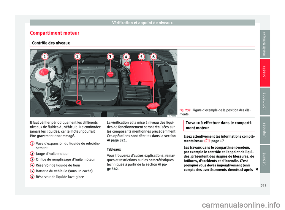 Seat Ateca 2018  Manuel du propriétaire (in French)  Vérification et appoint de niveaux
Compartiment moteur C ontrôl
e de
s niveaux Fig. 239 
Figure d'exemple de la position des élé-
ments. Il faut vérifier périodiquement les différents
niv
e