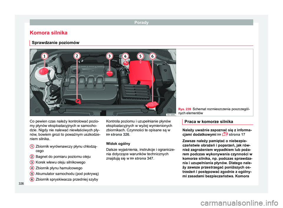 Seat Ateca 2018  Instrukcja Obsługi (in Polish) Porady
Komora silnika Sprawdzanie poziomów Rys. 239
Schemat rozmieszczenia poszczegól-
nych elementów Co pewien czas należy kontrolować pozio-
my płynów eksploatacyjnych w samocho-
dzie. Nigdy 