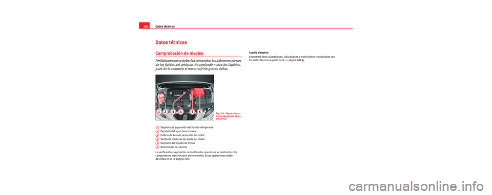 Seat Toledo 2006  Manual de instrucciones (in Spanish) Datos técnicos
286
Datos técnicos
Comprobación de niveles
Periódicamente se deberían co mprobar los diferentes niveles 
de los fluidos del vehículo. No confundir nunca los líquidos, 
pues de lo