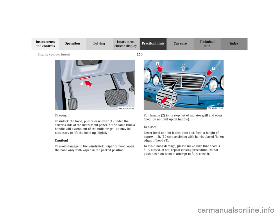 MERCEDES-BENZ CLK320 2001 A208 Owners Manual 250 Engine compartment
Te ch n ica l
data Instruments 
and controlsOperation DrivingInstrument 
cluster displayPractical hintsCar care Index
To  o pen :
To unlock the hood, pull release lever (1) unde