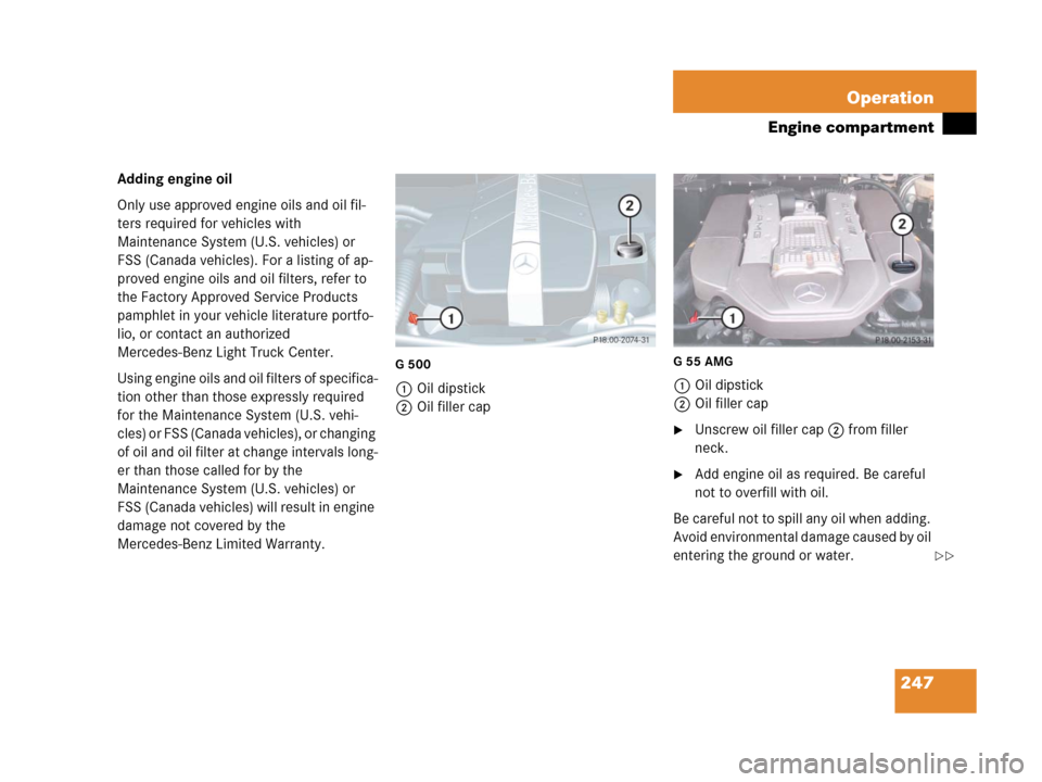 MERCEDES-BENZ G500 2006 W463 Owners Manual 247 Operation
Engine compartment
Adding engine oil
Only use approved engine oils and oil fil-
ters required for vehicles with
Maintenance System (U.S. vehicles) or
FSS (Canada vehicles). For a listi MERCEDES-BENZ G500 2006 W463 Owners Manual 247 Operation
Engine compartment
Adding engine oil
Only use approved engine oils and oil fil-
ters required for vehicles with
Maintenance System (U.S. vehicles) or
FSS (Canada vehicles). For a listi