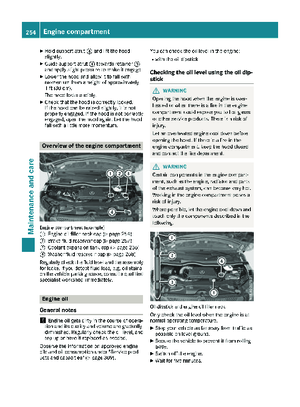 Page 256