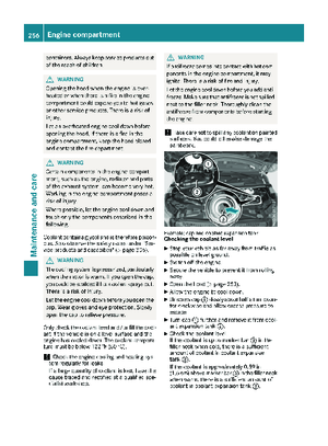 Page 258