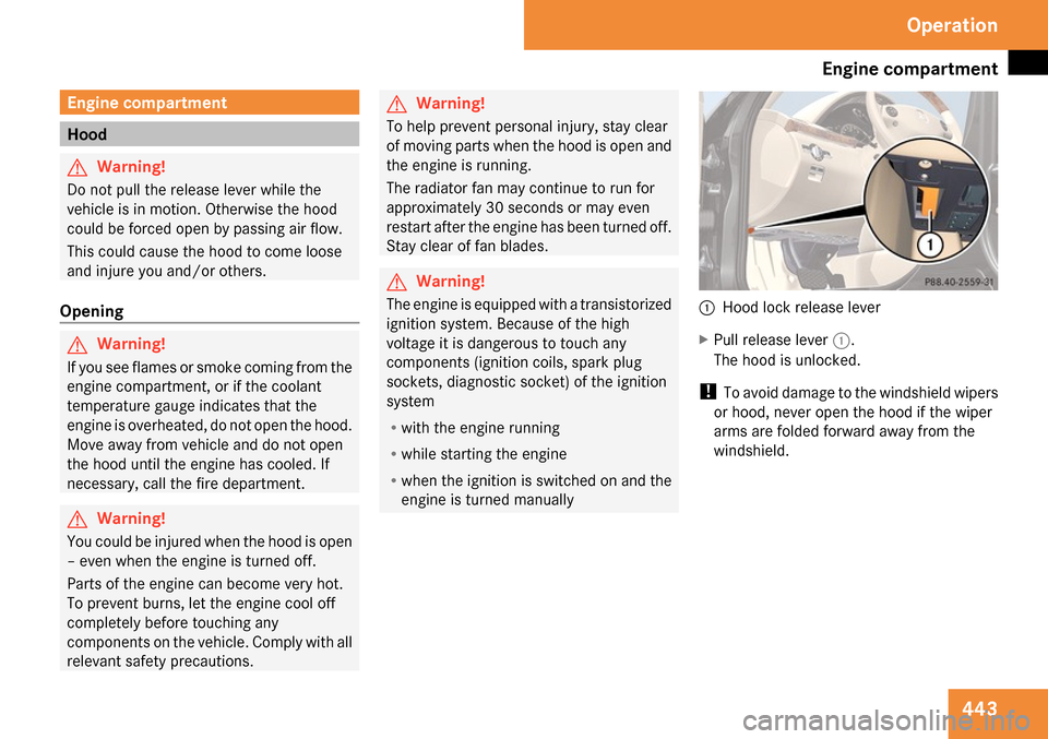 MERCEDES-BENZ S65AMG 2009 W221 Owners Manual 