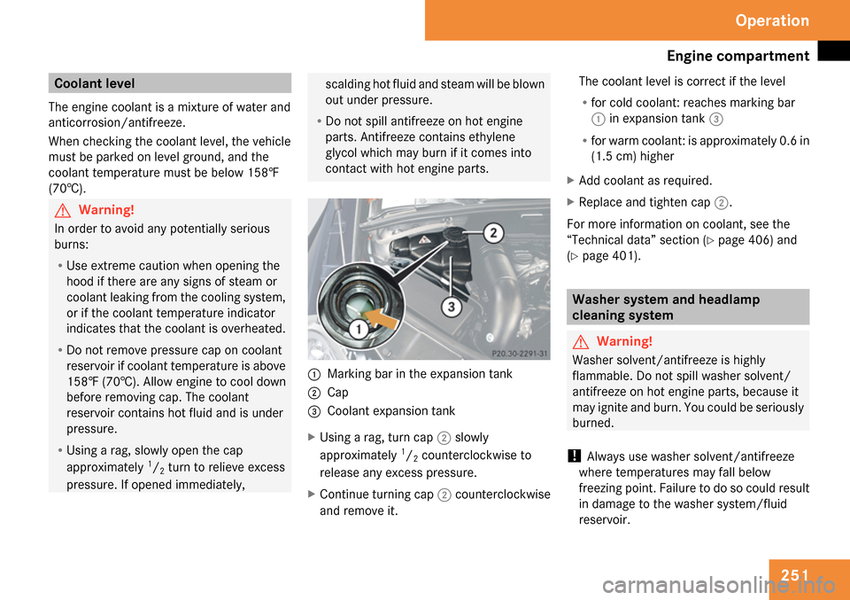 MERCEDES-BENZ R350 2009 W251 Owners Manual 