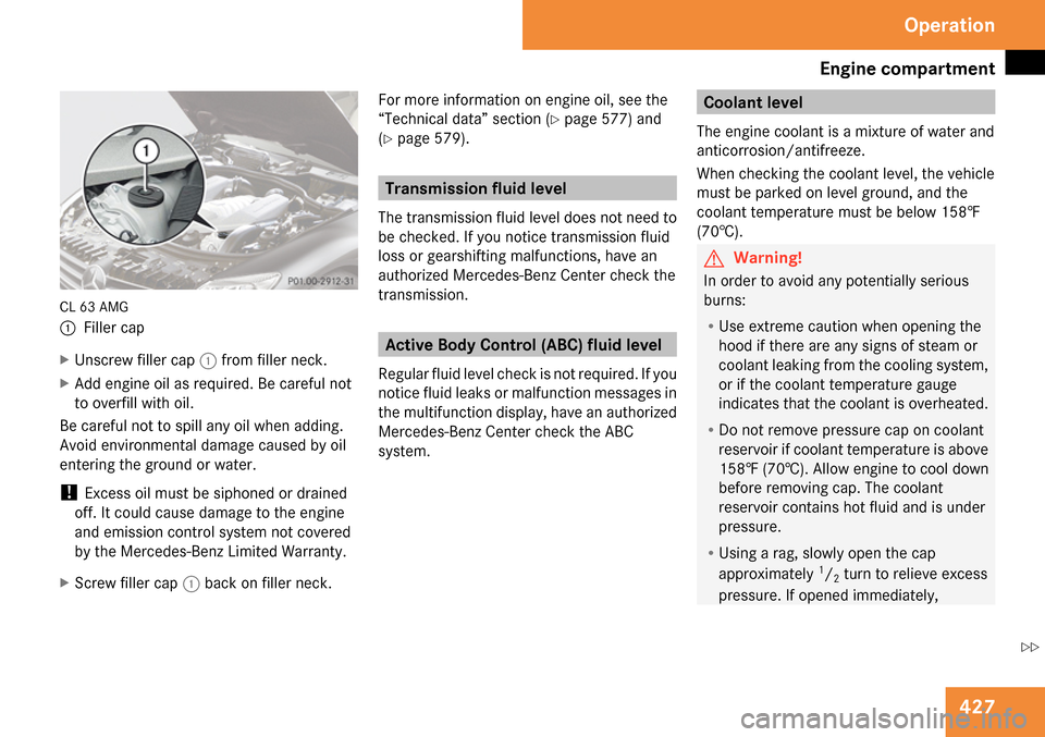 MERCEDES-BENZ CL65AMG 2009 C216 Owners Manual 