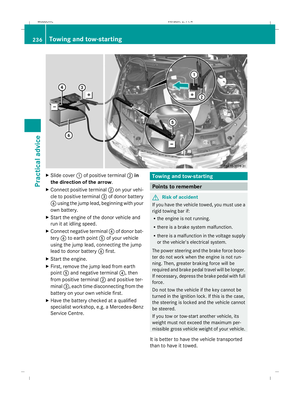 Page 239