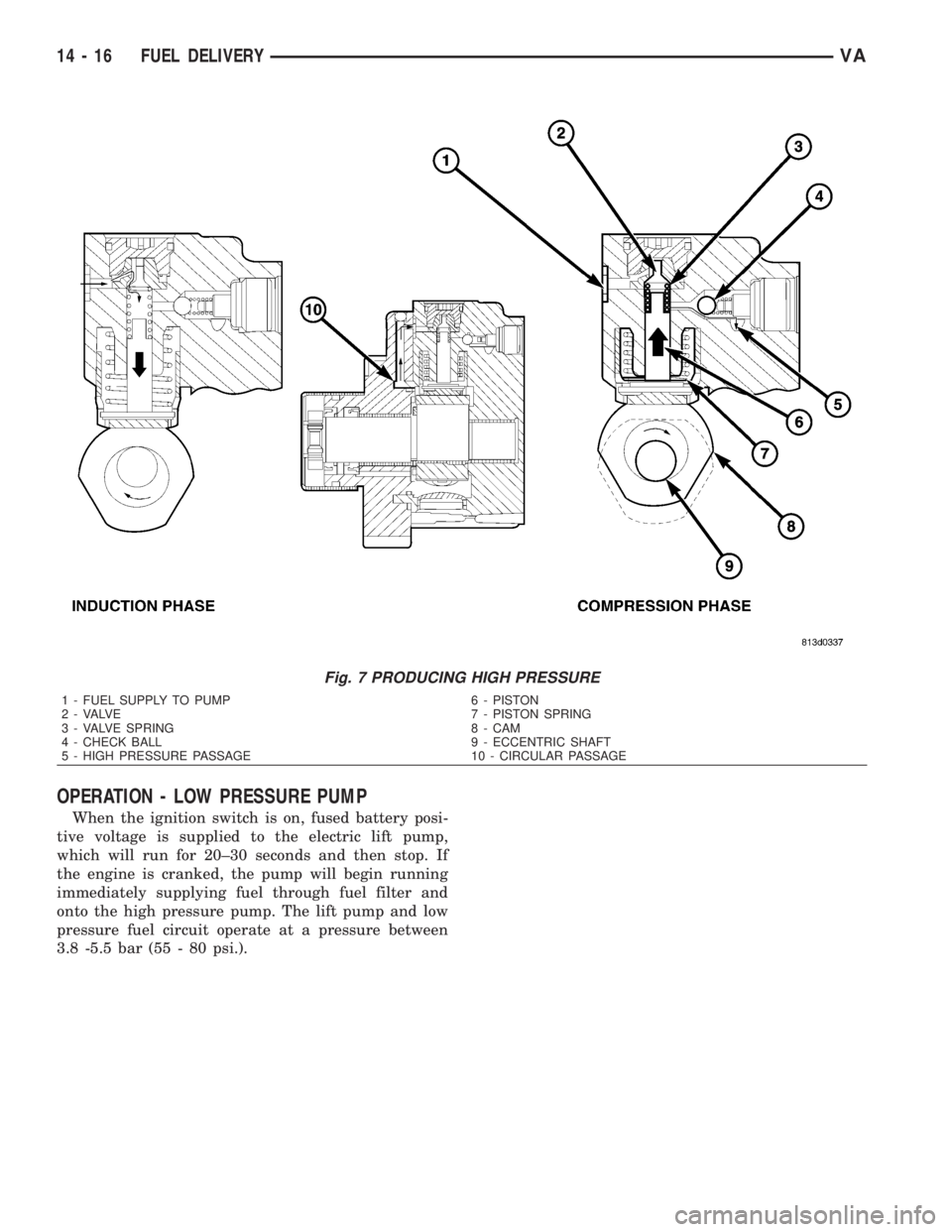 MERCEDES-BENZ SPRINTER 2006  Service Manual OPERATION - LOW PRESSURE PUMP
When the ignition switch is on, fused battery posi-
tive voltage is supplied to the electric lift pump,
which will run for 20±30 seconds and then stop. If
the engine is 