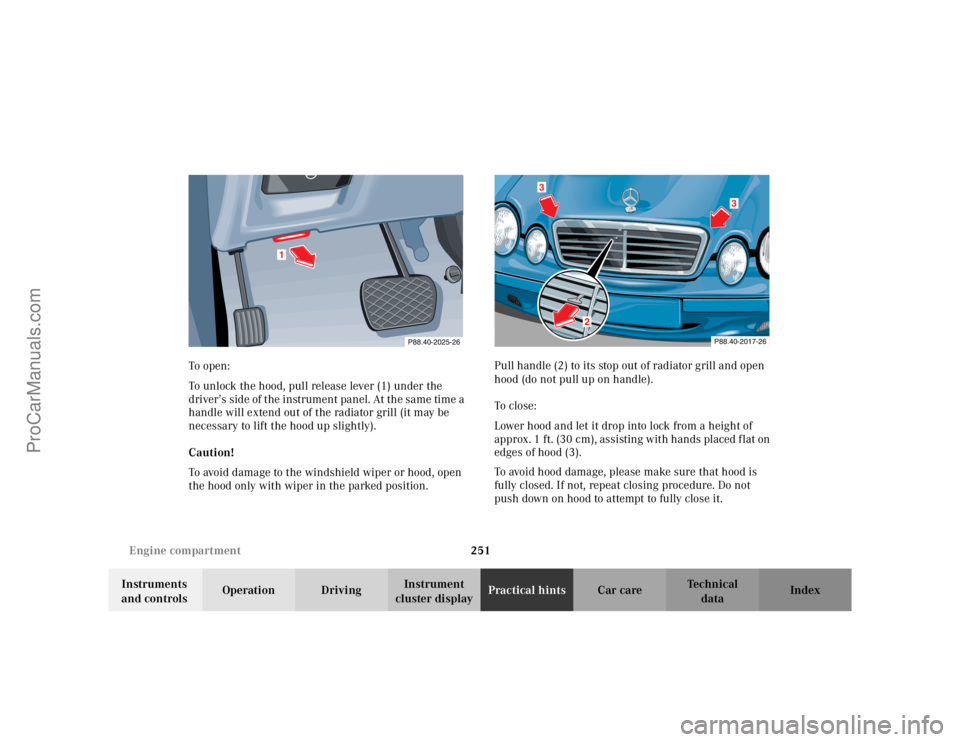 MERCEDES-BENZ CLK-CLASS 2002  Owners Manual 251 Engine compartment
Te ch n i c a l
data Instruments 
and controlsOperation DrivingInstrument 
cluster displayPractical hintsCar care Index To o pen :
To unlock the hood, pull release lever (1) und