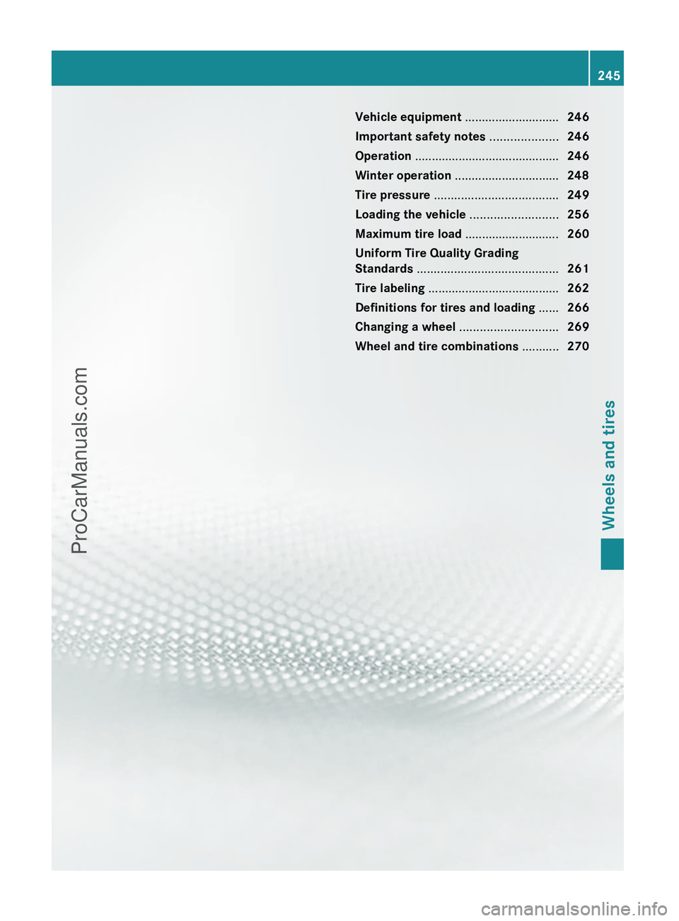 MERCEDES-BENZ G-CLASS 2011  Owners Manual Vehicle equipment ............................246
Important safety notes  ....................246
Operation  ........................................... 246
Winter operation  .........................