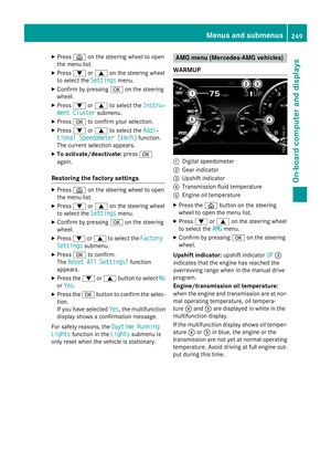 Page 251