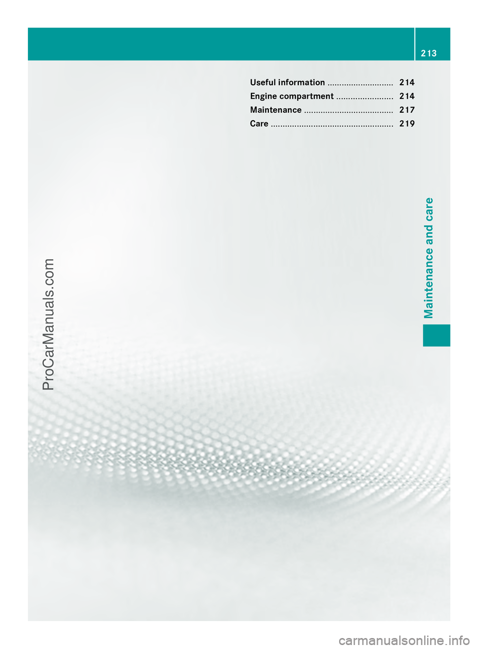 MERCEDES-BENZ SLS-CLASS 2013  Owners Manual Useful information
............................214
Engine compartment ........................214
Maintenance ...................................... 217
Care ..........................................