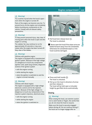 Page 231
