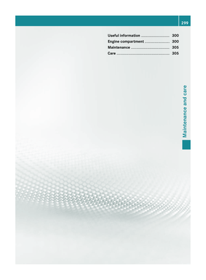 Page 301