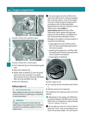 Page 304