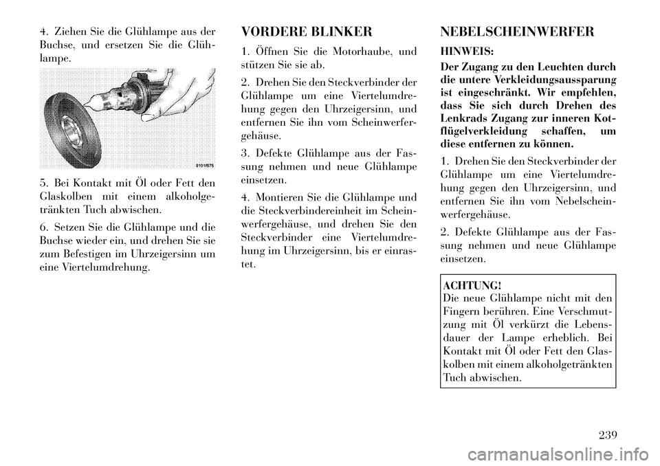 Lancia Flavia 2012  Betriebsanleitung (in German) 4. Ziehen Sie die Glühlampe aus der
Buchse, und ersetzen Sie die Glüh­
lampe.
5. Bei Kontakt mit Öl oder Fett den
Glaskolben mit einem alkoholge-
tränkten Tuch abwischen.
6. Setzen Sie die Glühl