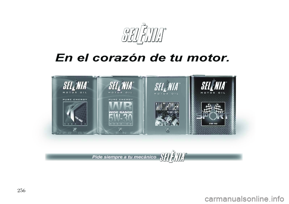 Lancia Flavia 2013  Manual de Empleo y Cuidado (in Spanish) 256  
