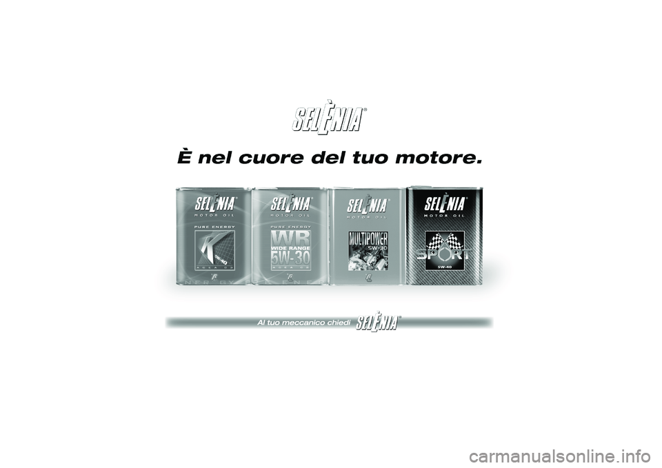 Lancia Ypsilon 2013  Libretto Uso Manutenzione (in Italian) 