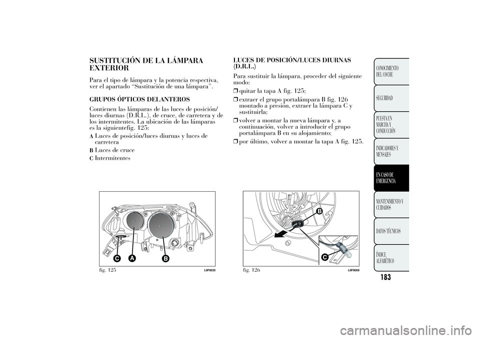 Lancia Ypsilon 2011  Manual de Empleo y Cuidado (in Spanish) SUSTITUCIÓN DE LA LÁMPARA
EXTERIORPara el tipo de lámpara y la potencia respectiva,
ver el apartado “Sustitución de una lámpara”.
GRUPOS ÓPTICOS DELANTEROS
Contienen las lámparas de las luc
