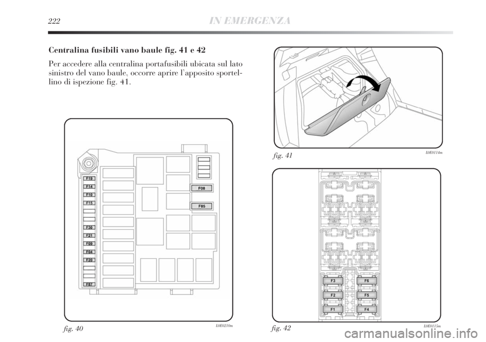Lancia Delta 2012  Libretto Uso Manutenzione (in Italian) 222IN EMERGENZA
Centralina fusibili vano baule fig. 41 e 42
Per accedere alla centralina portafusibili ubicata sul lato
sinistro del vano baule, occorre aprire l’apposito sportel-
lino di ispezione 