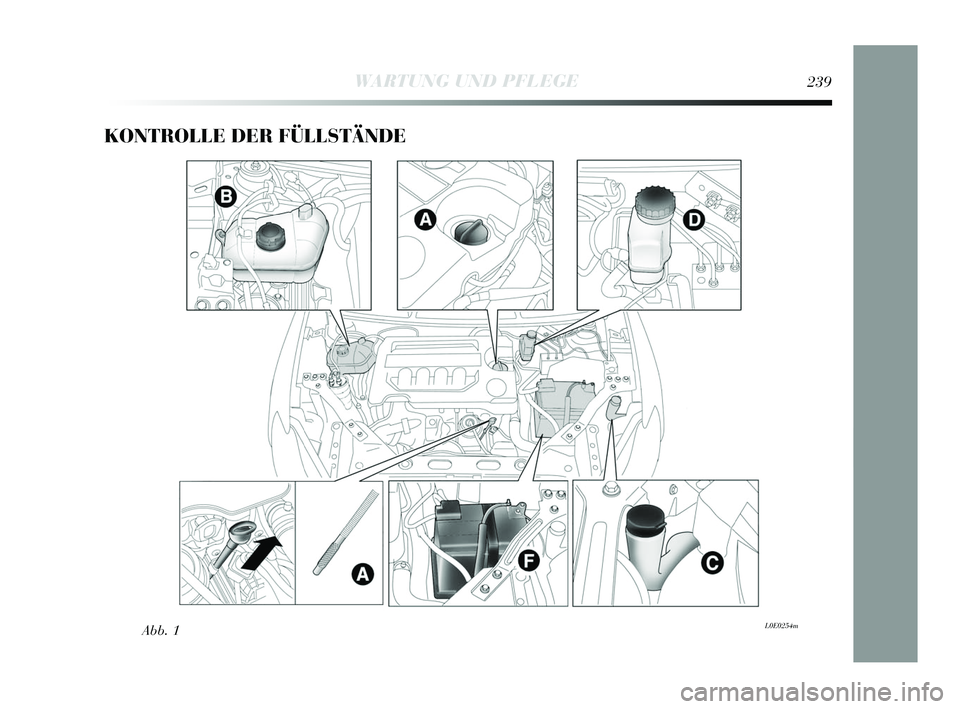 Lancia Delta 2015  Betriebsanleitung (in German) KONTROLLE DER FÜLLSTÄNDE 
Abb. 1L0E0254m
WARTUNG UND PFLEGE239
233-256 Delta DE 1ed  03/04/14  13:29  Pagina 239 