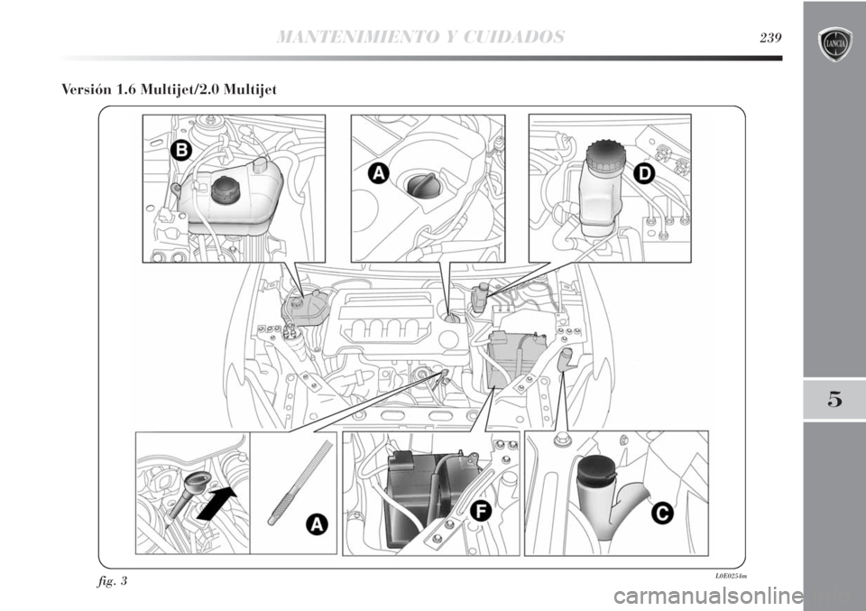 Lancia Delta 2013  Manual de Empleo y Cuidado (in Spanish) MANTENIMIENTO Y CUIDADOS239
5
Versión 1.6 Multijet/2.0 Multijet
fig. 3L0E0254m 