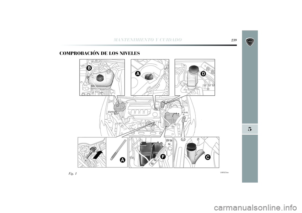 Lancia Delta 2014  Manual de Empleo y Cuidado (in Spanish) COMPROBACIÓN DE LOS NIVELES 
Fig. 1
L0E0254m
MANTENIMIENTO Y CUIDADO
239
5
233-256 Delta ES 1ed  03/09/13  12.05  Pagina 239 