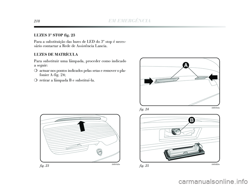 Lancia Delta 2015  Manual de Uso e Manutenção (in Portuguese) 218EM EMERGÊNCIA
LUZES 3° STOP fig. 23
Para a substituição das luzes de LED do 3º stop é neces-
sário contactar a Rede de Assistência Lancia. 
LUZES DE MATRÍCULA
Para substituir uma lâmpada,