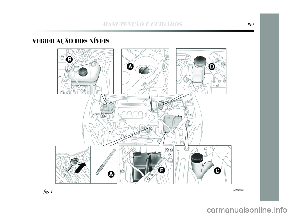 Lancia Delta 2015  Manual de Uso e Manutenção (in Portuguese) VERIFICAÇÃO DOS NÍVEIS 
fig. 1L0E0254m
MANUTENÇÃO E CUIDADOS239
233-256 Delta PT 1ed  03/04/14  14:50  Pagina 239 