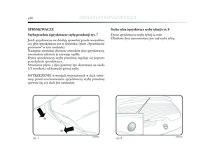 Page 239