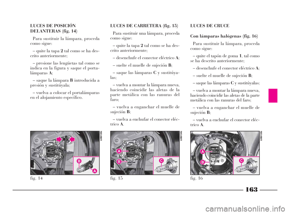 Lancia Phedra 2009  Manual de Empleo y Cuidado (in Spanish) 163
LUCES DE POSICIÓN
DELANTERAS (fig. 14)
Para sustituir la lámpara, proceda
como sigue:
– quite la tapa 2tal como se ha des-
crito anteriormente;
– presione las lengüetas tal como se
indica e