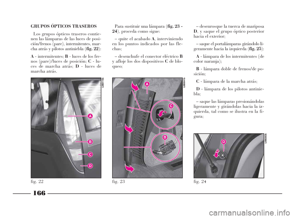 Lancia Phedra 2009  Manual de Empleo y Cuidado (in Spanish) GRUPOS ÓPTICOS TRASEROS
Los grupos ópticos traseros contie-
nen las lámparas de las luces de posi-
ción/frenos (pare), intermitentes, mar-
cha atrás y pilotos antiniebla (fig. 22):
A- intermitent