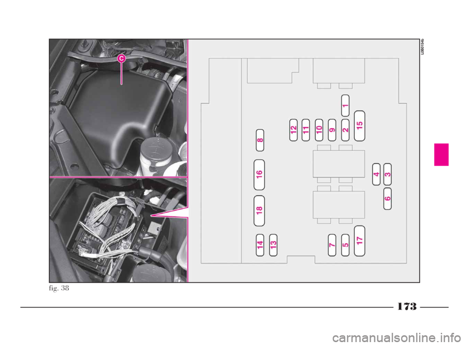 Lancia Phedra 2009  Manual de Empleo y Cuidado (in Spanish) 173
fig. 38
L0B0154b
152-182 Phedra SPA:152-182 Phedra SPA  12-11-2009  14:46  Pagina 173 
