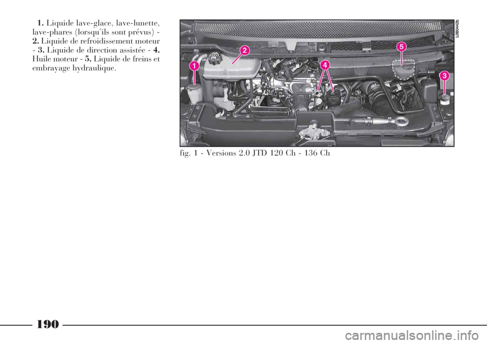 Lancia Phedra 2008  Notice dentretien (in French) 190
1.Liquide lave-glace, lave-lunette,
lave-phares (lorsqu’ils sont prévus) -
2.Liquide de refroidissement moteur
-3.Liquide de direction assistée - 4.
Huile moteur - 5.Liquide de freins et
embra